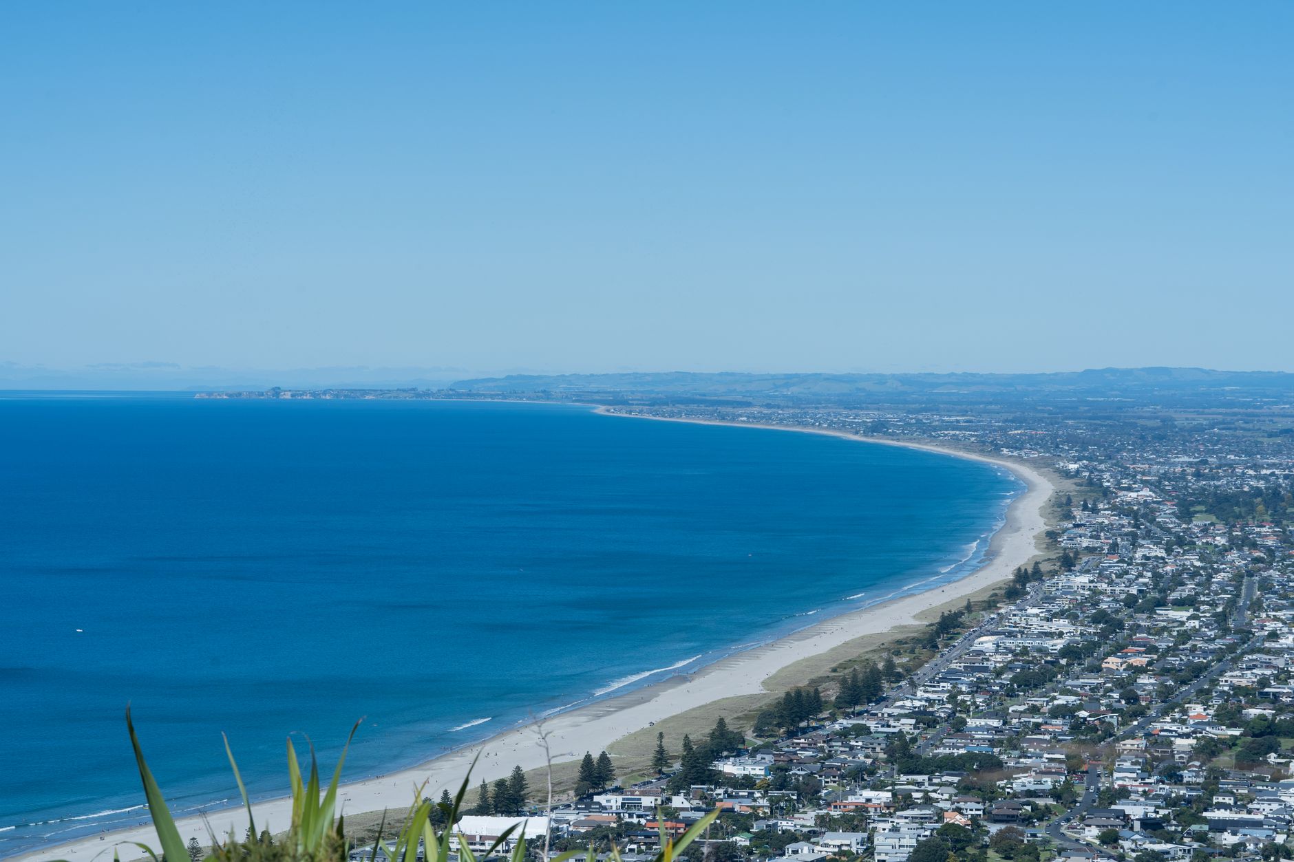 Bay of Plenty exploitation bill: $400K ordered payment is wrong
