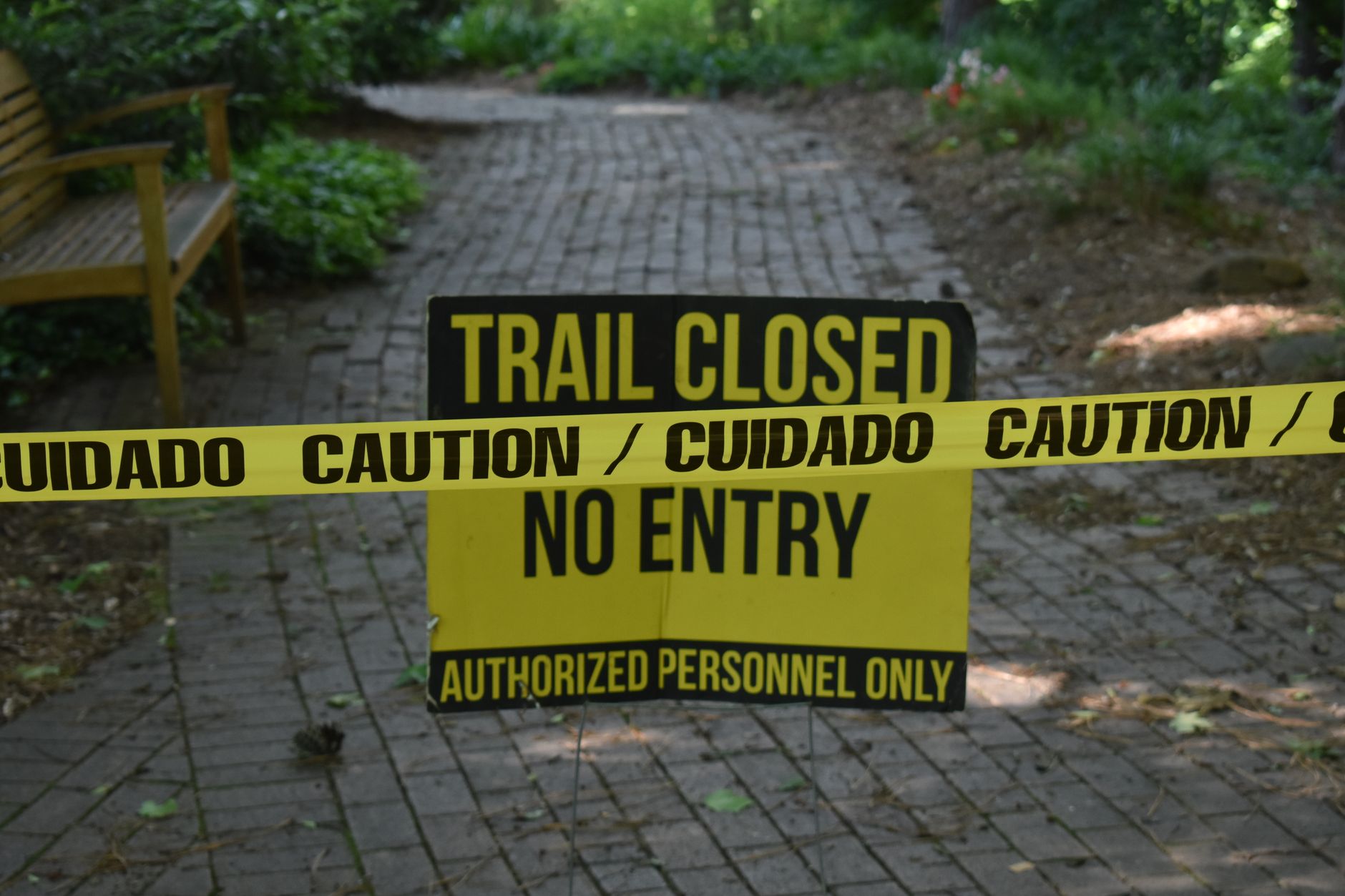 Central Park closure: The Real Impact on Traders’ Rights