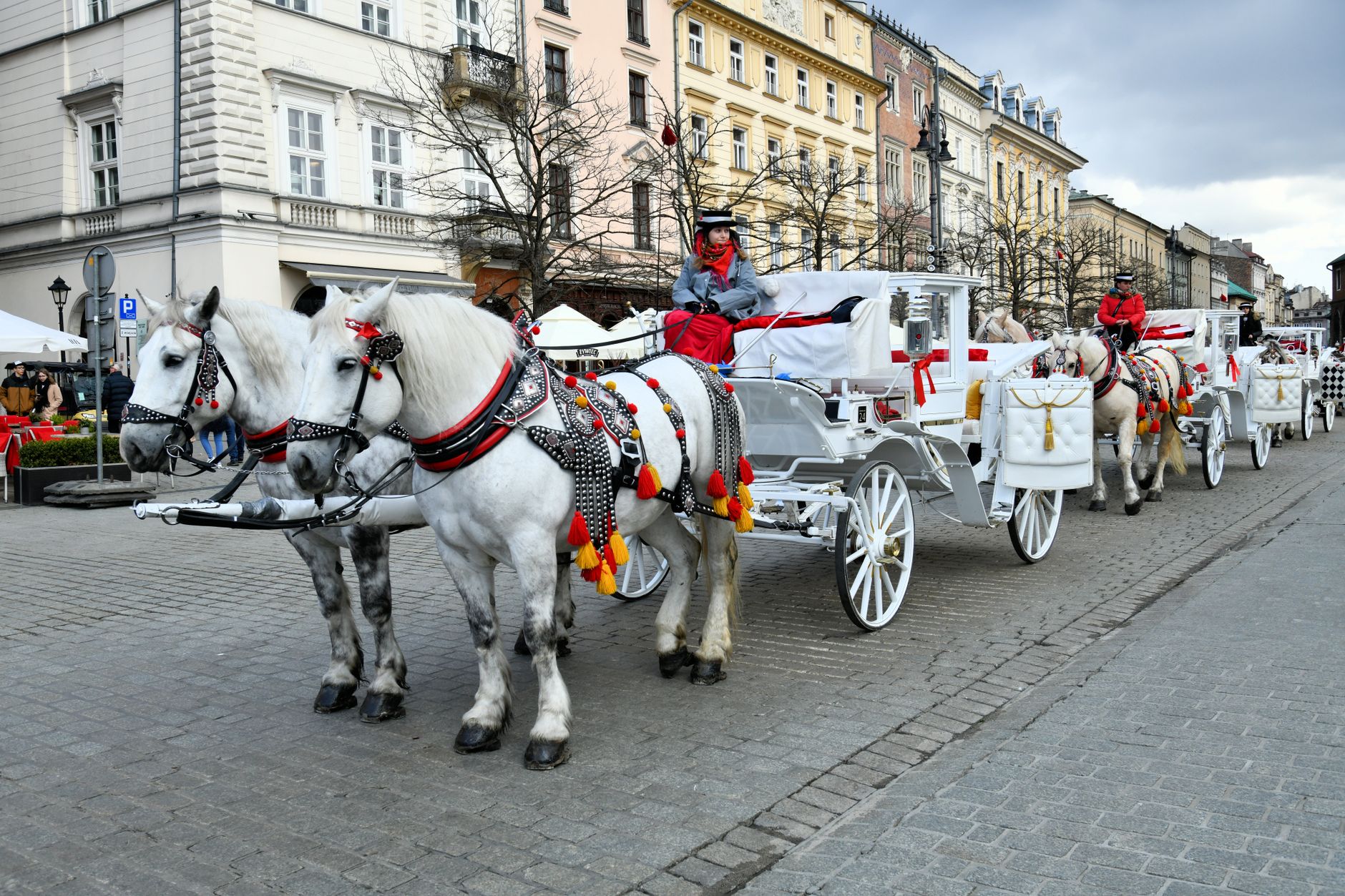 Horse-drawn carriages law: Is this the right move for NYC?