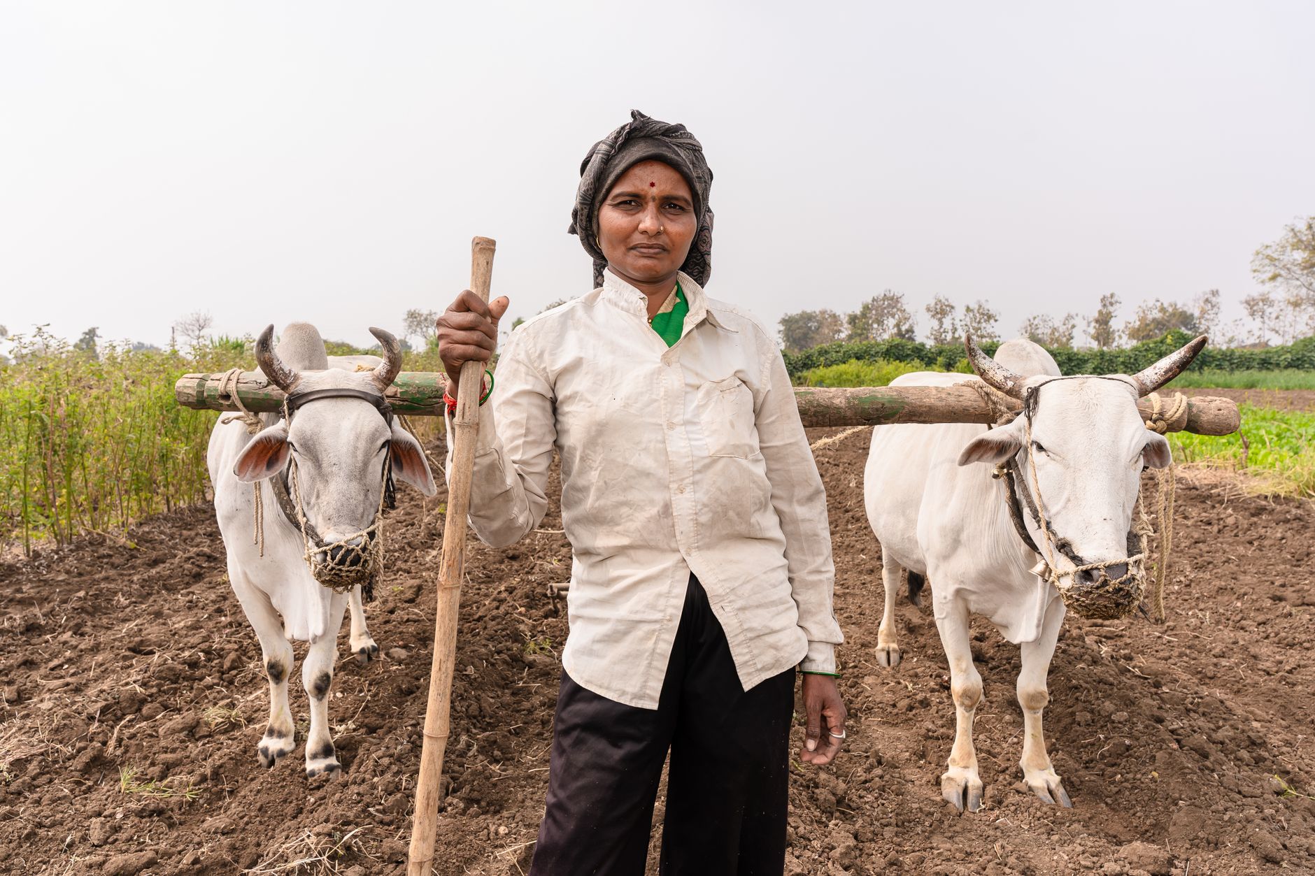 Maharashtra law for farmers: A Simple Change with Real Impact